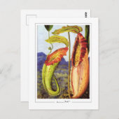 Marianne North #1 - Fine Art Postcard Postkarte (Vorne/Hinten)