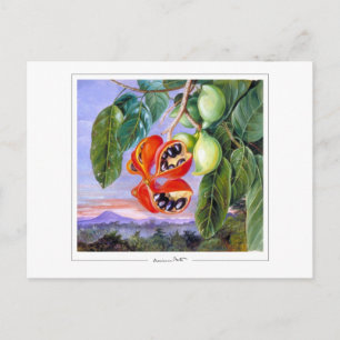 Marianne North #9 - Kunstdruck Postkarte