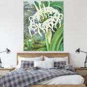 Marianne North - A Bornean Crinum Leinwanddruck (Insitu (Schlafzimmer))