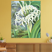 Marianne North - A Bornean Crinum Leinwanddruck (Insitu (Wohnzimmer))