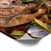 Marianne North - Australische Bären und Birnen Poster (Ecke)