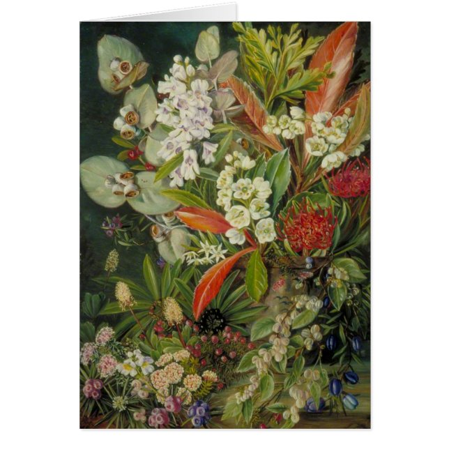 Marianne North Botanical Painting (Vorne)