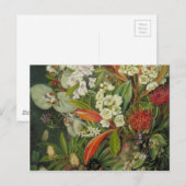 Marianne North Botanical Painting Postkarte (Vorne/Hinten)
