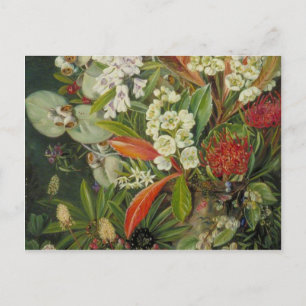 Marianne North Botanische Malerei Postkarte