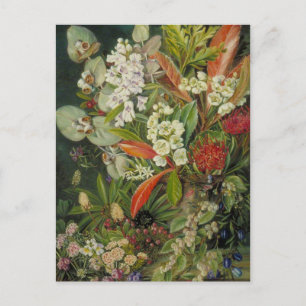 Marianne North Botanische Malerei Postkarte