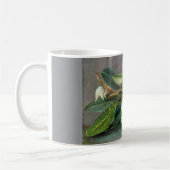 Marianne North - Custard Apple Art Kaffeetasse (Links)