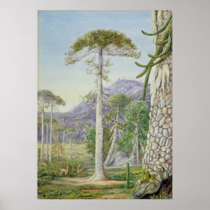 Marianne North - Exotische Landschaft II Poster
