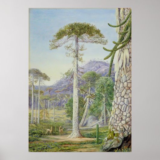 Marianne North - Exotische Landschaft II Poster (Vorne)