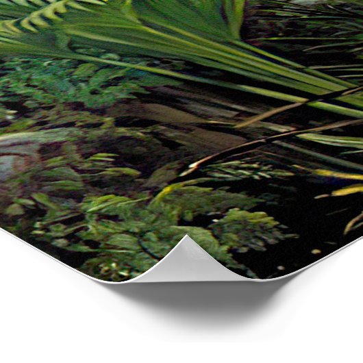 Marianne North - Exotische Landschaft III Poster (Ecke)