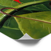 Marianne North - Exotische Landschaft Poster (Ecke)