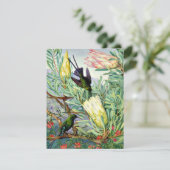 Marianne North - Honigblumen und Honeysuckers Karte (Stehend Vorderseite)