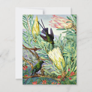 Marianne North - Honigblumen und Honeysuckers Karte