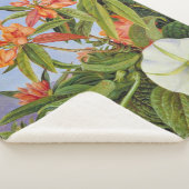 Marianne North - Javan Rhododendrum Sherpadecke (3/4)
