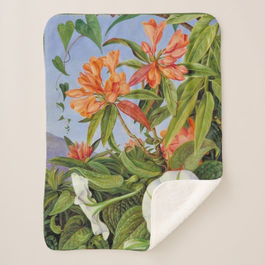 Marianne North - Javan Rhododendrum Sherpadecke (Vorderseite)
