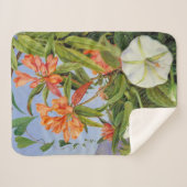 Marianne North - Javan Rhododendrum Sherpadecke (Vorderseite (Horizontal))