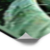 Marianne North - Olearia argophylla Poster (Ecke)