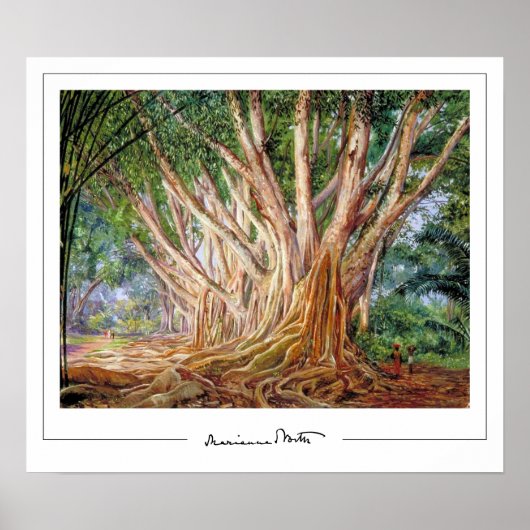 Marianne North Zedign Art Poster #5 (Vorne)