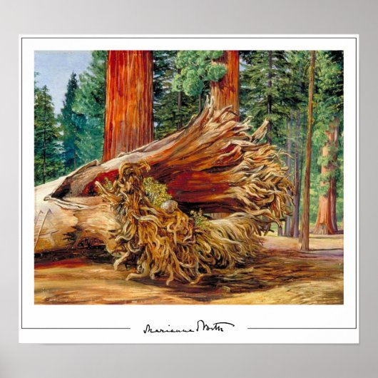 Marianne North Zedign Art Poster #7 (Vorne)