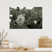 MariaS-fecha-a-porta Poster (Küche)