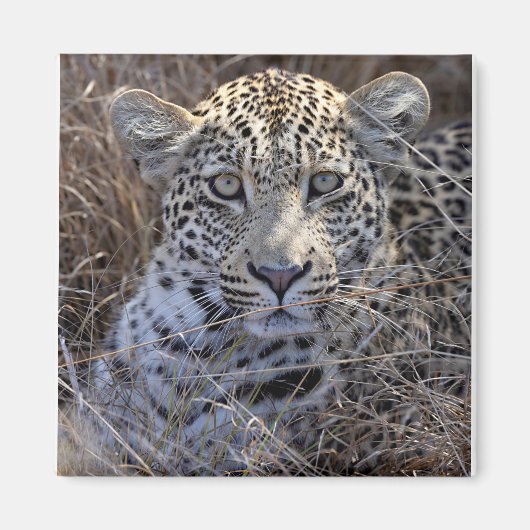 Maribye versteckt sich im Gras Magnet (Vorne)