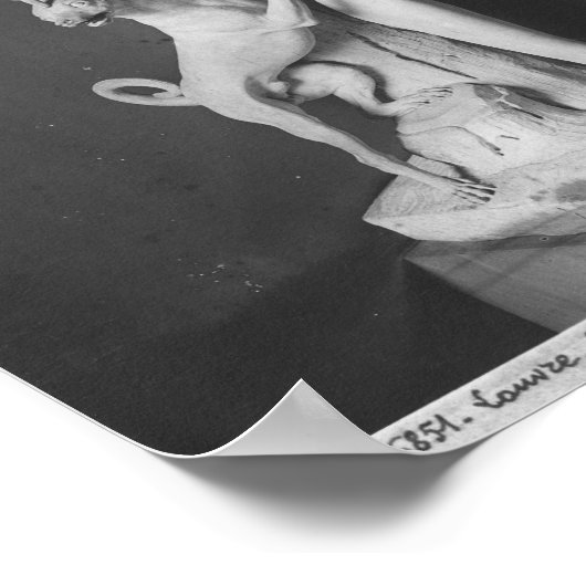 Marie-Adelaide de Savoie Poster (Ecke)