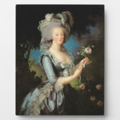 Marie Antoinette with a Rose, 1783 Fotoplatte (Vorderseite)