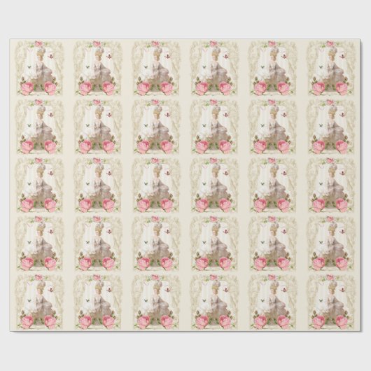 Marie Antoinette Wrapping Paper Pink Rosa Frame Geschenkpapier (Flach)
