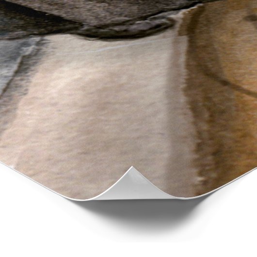 Marie Curie Art Print Poster (Ecke)