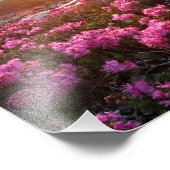 Marie Lakes Sunrise 2 - John Muir Trail - Sierra Fotodruck (Ecke)