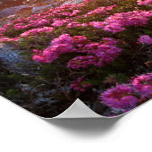 Marie Lakes Sunrise - John Muir Trail - Sierra Poster (Ecke)