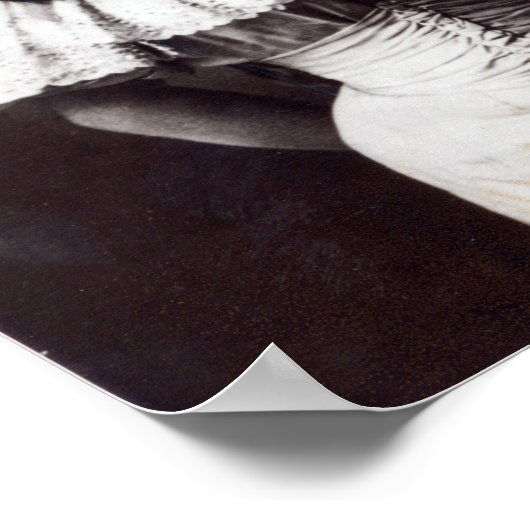 Marie Lloyd Poster (Ecke)