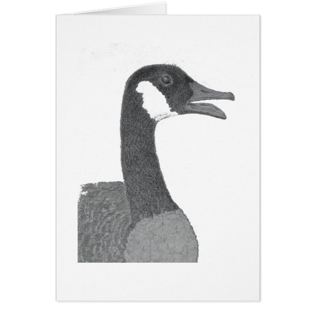 Marienkäfer (Vorne)