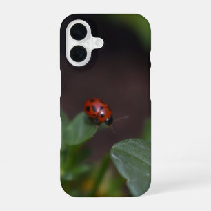 Marienkäfer auf Blumen iPhone 16 Hülle
