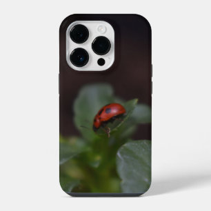 Marienkäfer auf Blumen iPhone 14 Pro Hülle