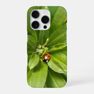 Marienkäfer auf Blumen iPhone 16 Pro Hülle