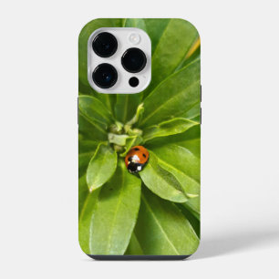 Marienkäfer auf Blumen iPhone 14 Pro Hülle