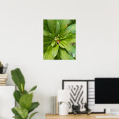 Marienkäfer auf Blumen Poster (Heimbüro)