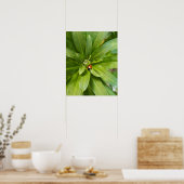 Marienkäfer auf Blumen Poster (Küche)