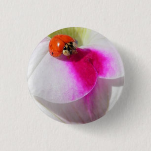 Marienkäfer auf dem Petunienknopf Button