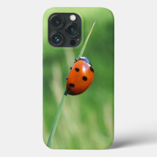 Marienkäfer auf einem Grashalm Case-Mate iPhone Hülle