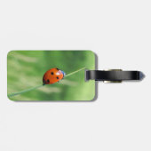 Marienkäfer auf einem Grashalm Gepäckanhänger (Rückseite horizontal)