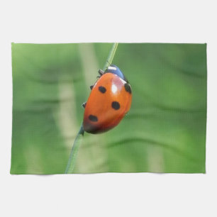 Marienkäfer auf einem Grashalm Handtuch