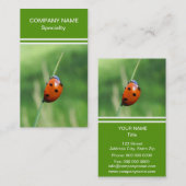 Marienkäfer auf einem Grashalm Visitenkarte (Vorne/Hinten)