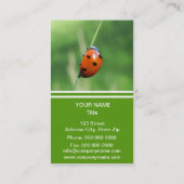 Marienkäfer auf einem Grashalm Visitenkarte (Rückseite)