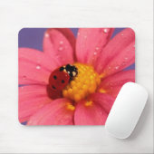 Marienkäfer auf einem rosa Gänseblümchen Mousepad (Mit Mouse)