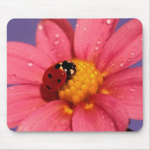 Marienkäfer auf einem rosa Gänseblümchen Mousepad