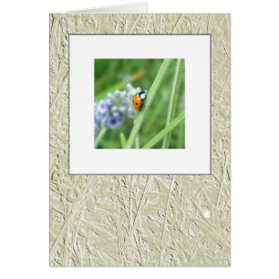 Marienkäfer auf einem Stiel