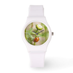 Marienkäfer auf einer Gänseblümchen-Knospe Armbanduhr