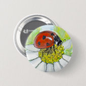 Marienkäfer auf einer Margerite Button (Vorne & Hinten)