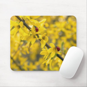 Marienkäfer auf gelbem Forsythienzweig Mousepad
